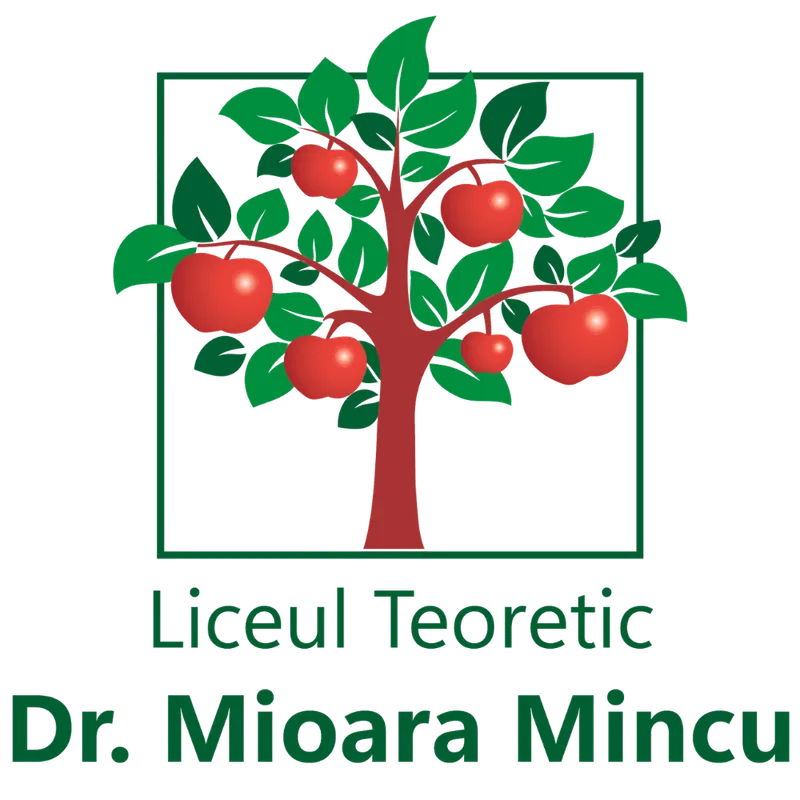 Liceu Dr Mioara Mincu
